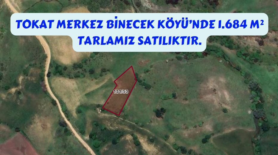 TOKAT MERKEZ BİNECEK KÖYÜNDE 1.684 M² TARLAMIZ SATILIKTIR. - TOKAT MERKEZ fotoğraf 7